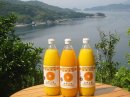 画像: 後藤　農園のオリジナルみかんジュースを販売開始！！