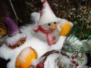 画像: 雪でした。愛媛も寒いです。