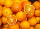 画像: 宇和島でもタロッコができる！！イタリアのブラッドオレンジです。