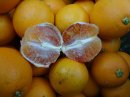 画像: 宇和島の特産品！！タロッコ　　ブラッド　オレンジです。！！　宇和島も地中海気候！！