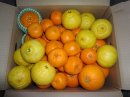 画像: 花の柑橘セットを販売中です。！！春ですね。愛媛の旬を楽しもう。！！菜の花がきれいです。！！