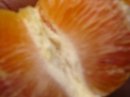 画像: ブラッドオレンジタロッコの特徴は中味が赤いことです。