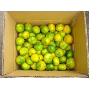 画像: 極早生みかん　家庭用　　１０ｋｇ　２８００円　（送料別） 