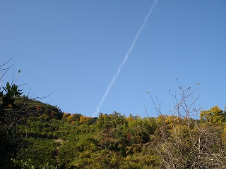 画像: 飛行機雲がよく見えます。