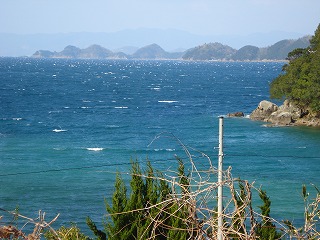 画像: ここからもセカチューの島が見えるんですよ。