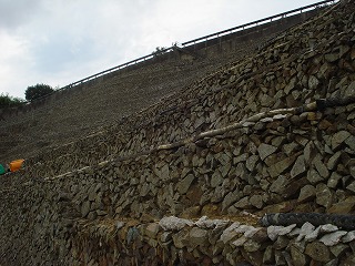 画像: 三浦半島にある段々畑によく観光バスがはいるようになりました。