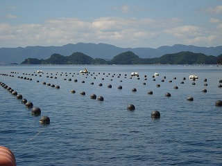 画像: セカチューの島とフロート筏