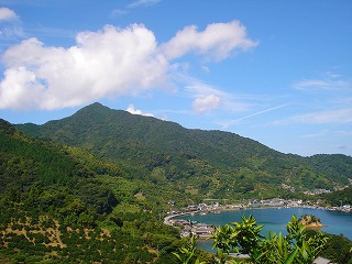 画像: 残暑お見舞い申し上げます。