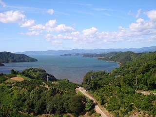 画像: 夏も終わりに近いですね。