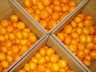 画像: 寒いので風邪などひかないようにしましょう。