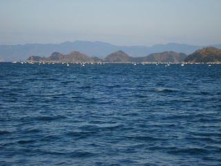 画像: 久しぶりに海に出てみると・・・