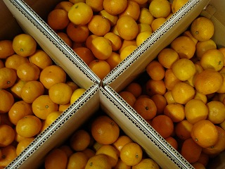 画像: 寒いので風邪などひかないよう気をつけましょう。