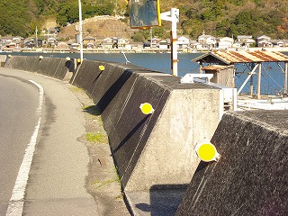 画像: みかん　ポンカンの発送をしています。