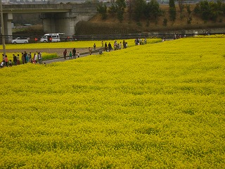 画像: 今のシーズンって・・・