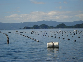 画像: 高島と真珠筏