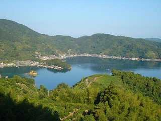 画像: 雨がほしいですね。