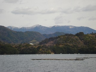 画像: 雪かと思ったらまだ雨です。