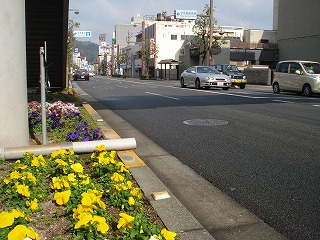 画像: きれいな花