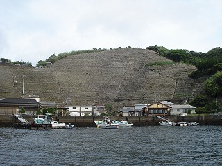 画像: 三浦半島部にある段々畑