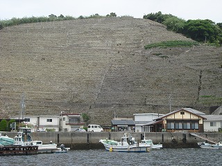 画像: 梅雨明けも近いですよ。