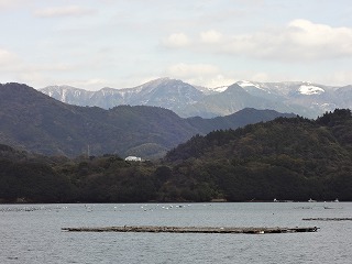 画像: 年末になり寒さと忙しさが・・・