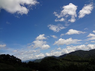 画像: 山に行くと・・・