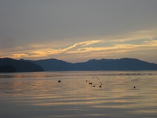 画像: 宇和島市三浦でも・・・