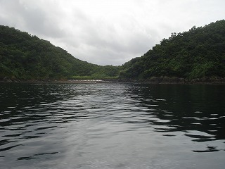 画像: 段々畑からもセカチューの島が見えます。