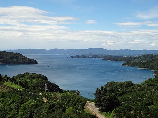 画像: もう夏です。
