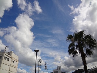 画像: 梅雨の晴れ間に・・・