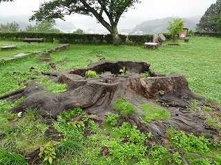 画像: 宇和島のいいところは・・・