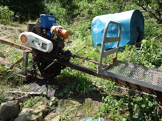 画像: みかんジュース飲んで夏をのりきりましょう。