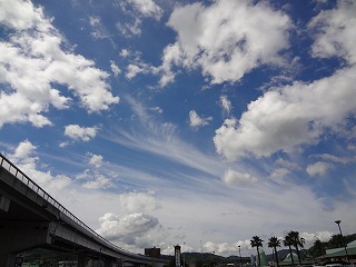 画像: えひめの梅雨明けは23日以降かと思います。