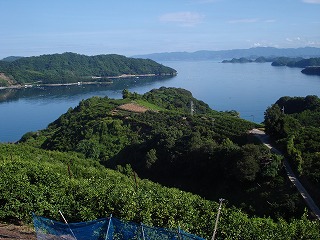 画像: まるで湖のような三浦湾は穏やかです。