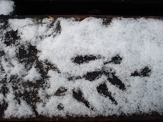 画像: ほんとうに寒くなってきました。まだ雪の気配です。元気ですよ！！