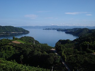 画像: 海の見えるところに住んでいます。