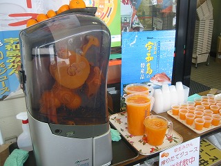 画像: みかんジュース搾りの機械です。