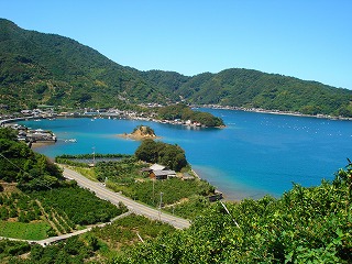 画像: 三浦の風景２・・・海が青いよ・・・まだ暑いですね。