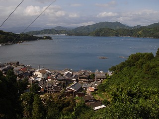 画像: 梅雨明けも近いです。