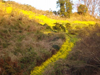 画像: まるで川が流れているように見えます。　