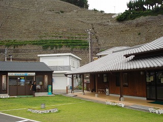 画像: 三浦半島にある段々畑では・・・