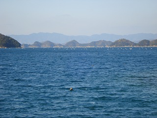 画像: セカチューの島　高島（小説では夢島）が見える。