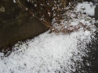 画像: 暖かくなってきました。もう雪は降らないでしょうね。