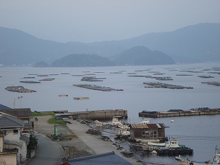 画像: 段々畑から見える　セカチューの島　高島