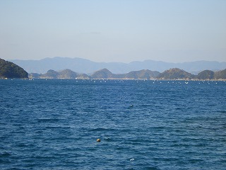 画像: セカチューの島　高島（小説では夢島）が見えるんです。